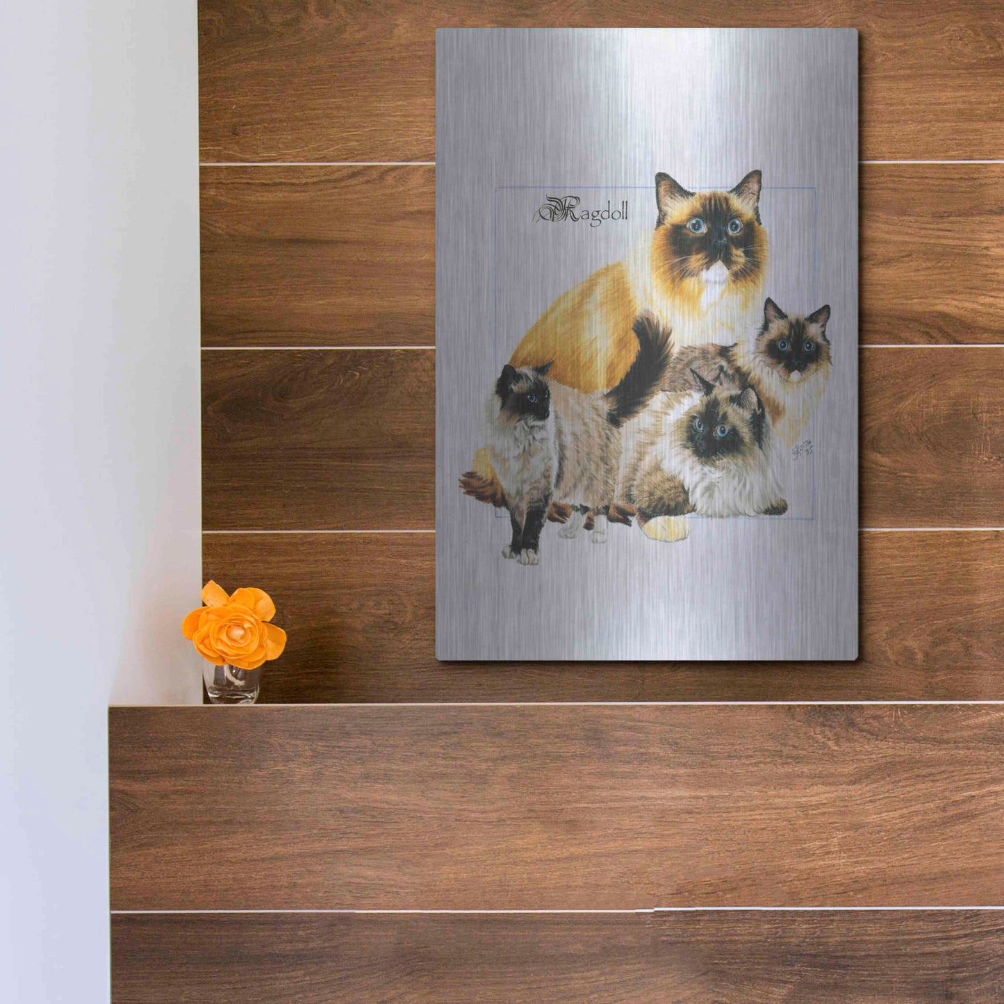 Luxe Metal Art 'Ragdoll' by Barbara Keith, Metal Wall Art,12x16