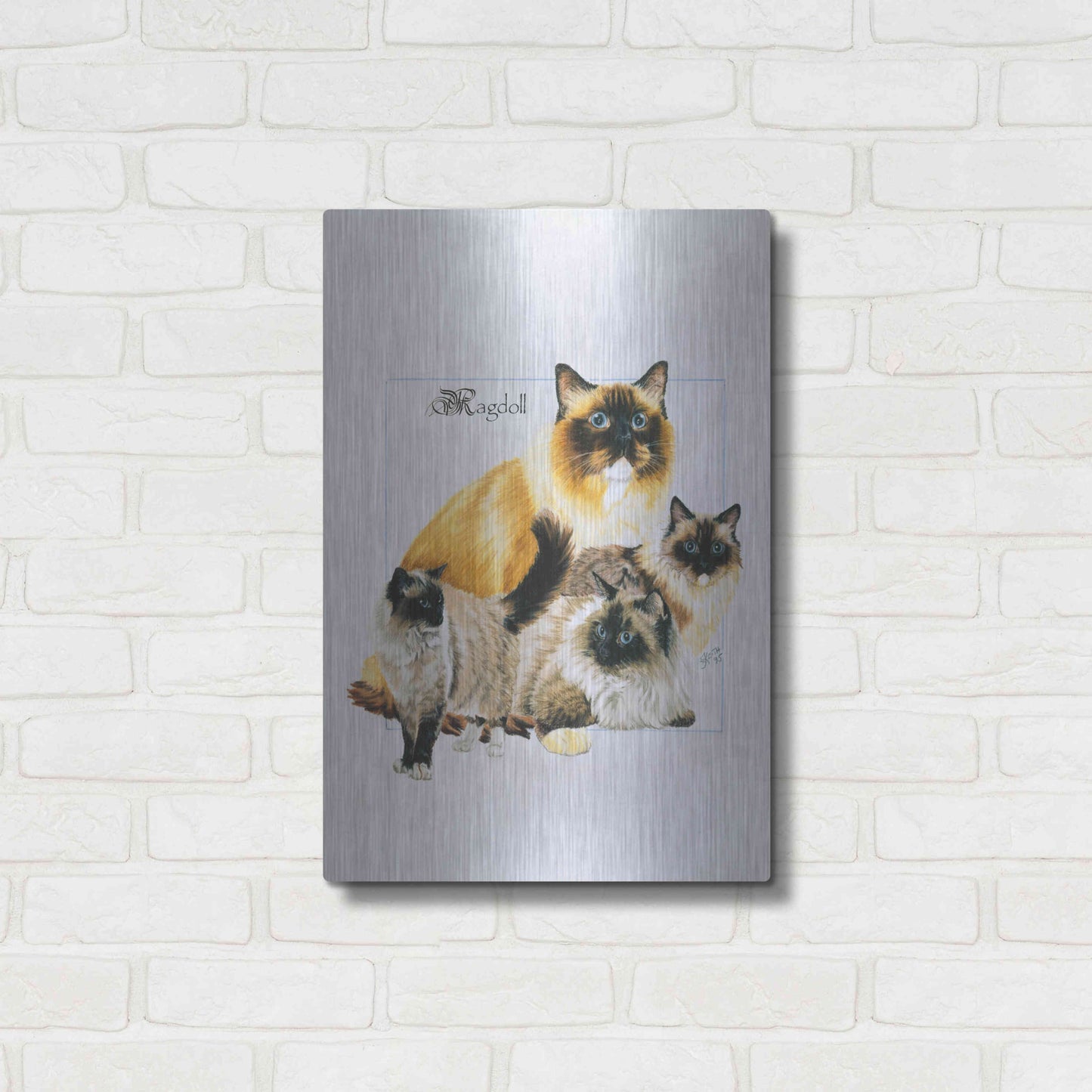 Luxe Metal Art 'Ragdoll' by Barbara Keith, Metal Wall Art,16x24