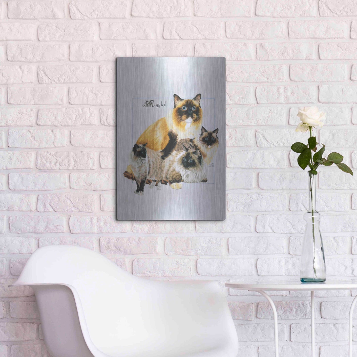 Luxe Metal Art 'Ragdoll' by Barbara Keith, Metal Wall Art,16x24