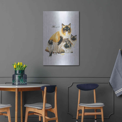 Luxe Metal Art 'Ragdoll' by Barbara Keith, Metal Wall Art,24x36