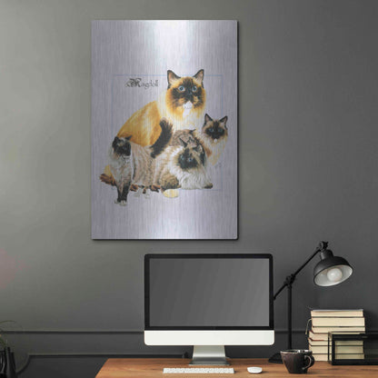 Luxe Metal Art 'Ragdoll' by Barbara Keith, Metal Wall Art,24x36