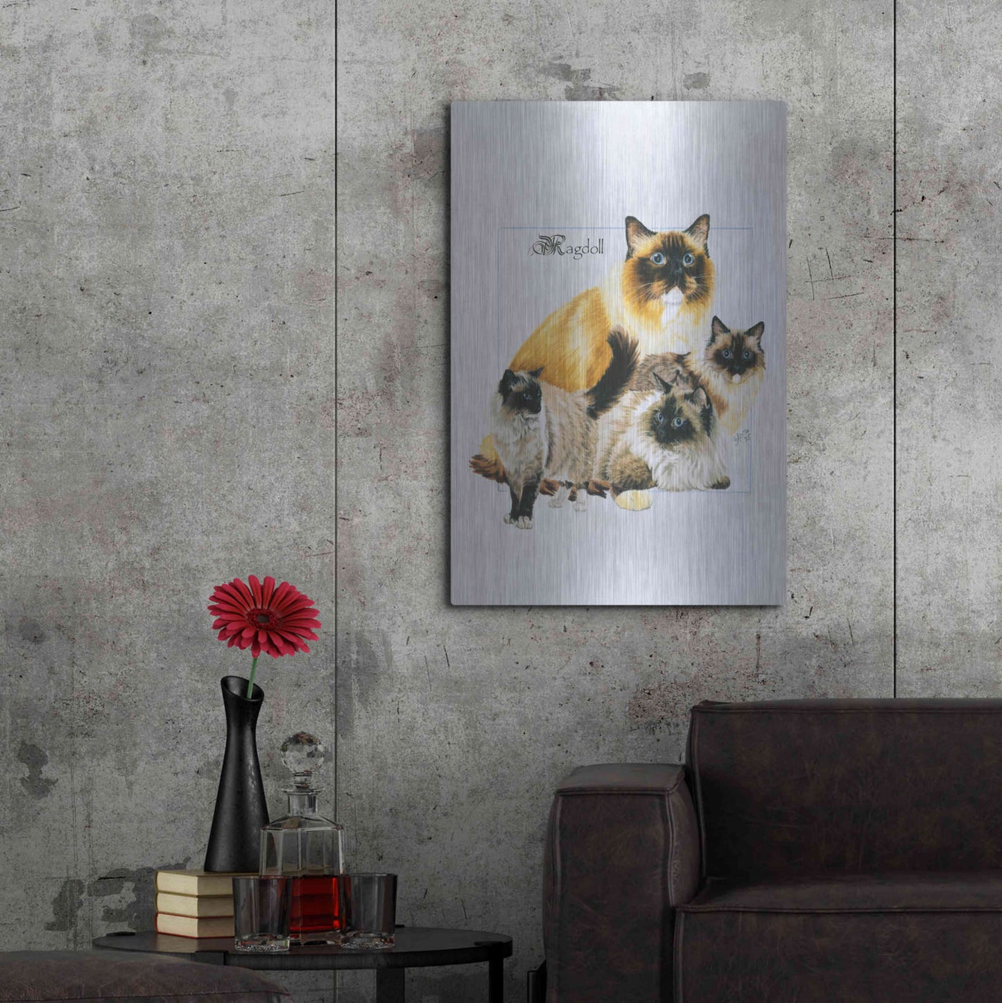 Luxe Metal Art 'Ragdoll' by Barbara Keith, Metal Wall Art,24x36