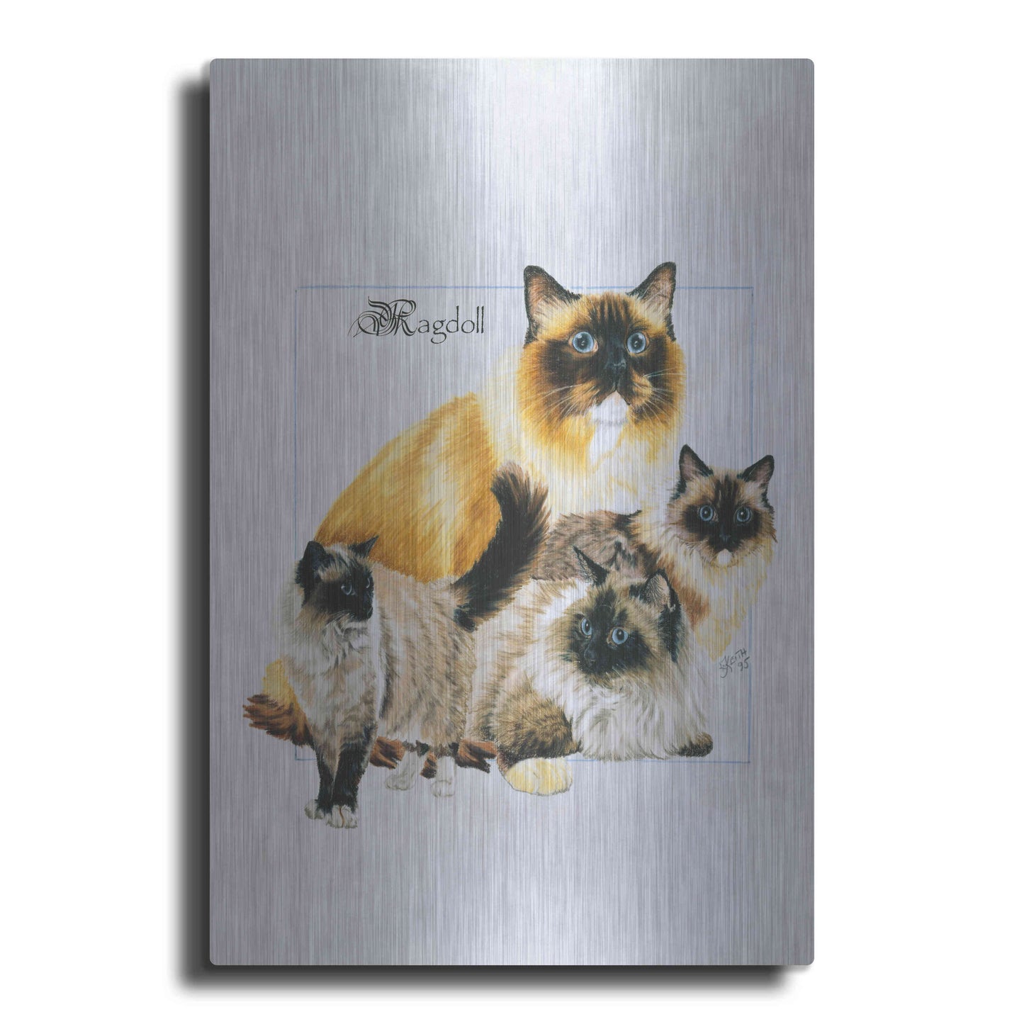 Luxe Metal Art 'Ragdoll' by Barbara Keith, Metal Wall Art