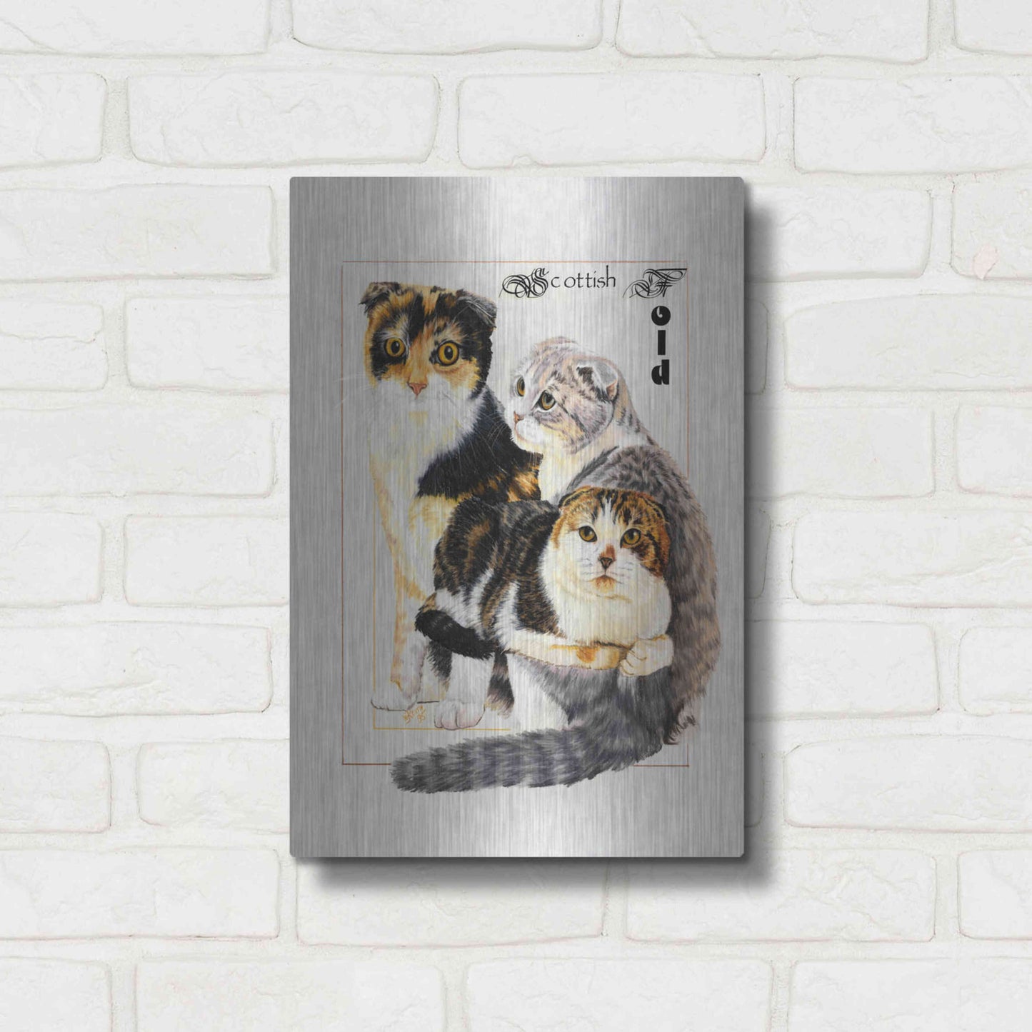 Luxe Metal Art 'Scottish Fold' by Barbara Keith, Metal Wall Art,12x16