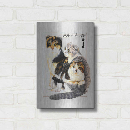 Luxe Metal Art 'Scottish Fold' by Barbara Keith, Metal Wall Art,12x16