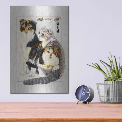 Luxe Metal Art 'Scottish Fold' by Barbara Keith, Metal Wall Art,12x16