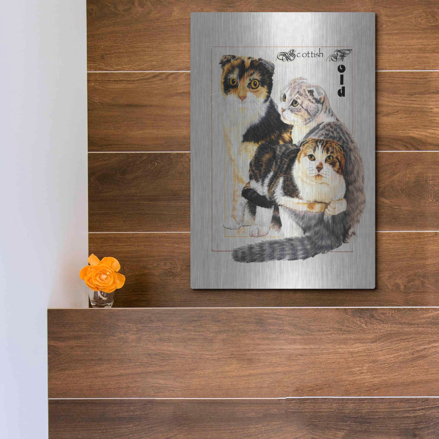 Luxe Metal Art 'Scottish Fold' by Barbara Keith, Metal Wall Art,12x16