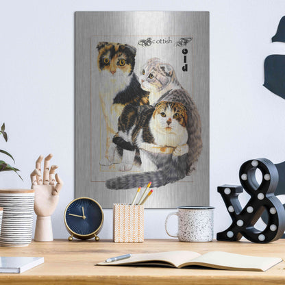 Luxe Metal Art 'Scottish Fold' by Barbara Keith, Metal Wall Art,12x16