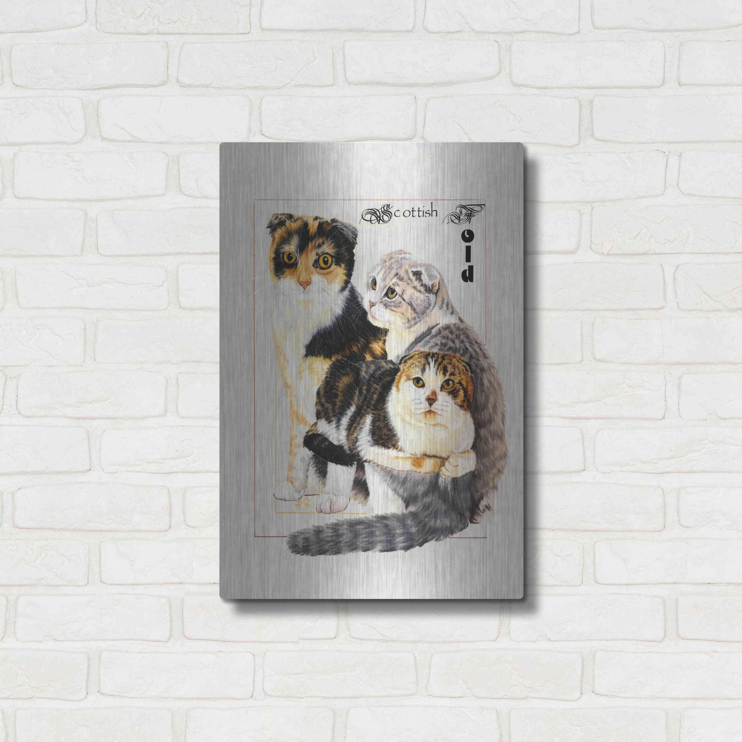 Luxe Metal Art 'Scottish Fold' by Barbara Keith, Metal Wall Art,16x24