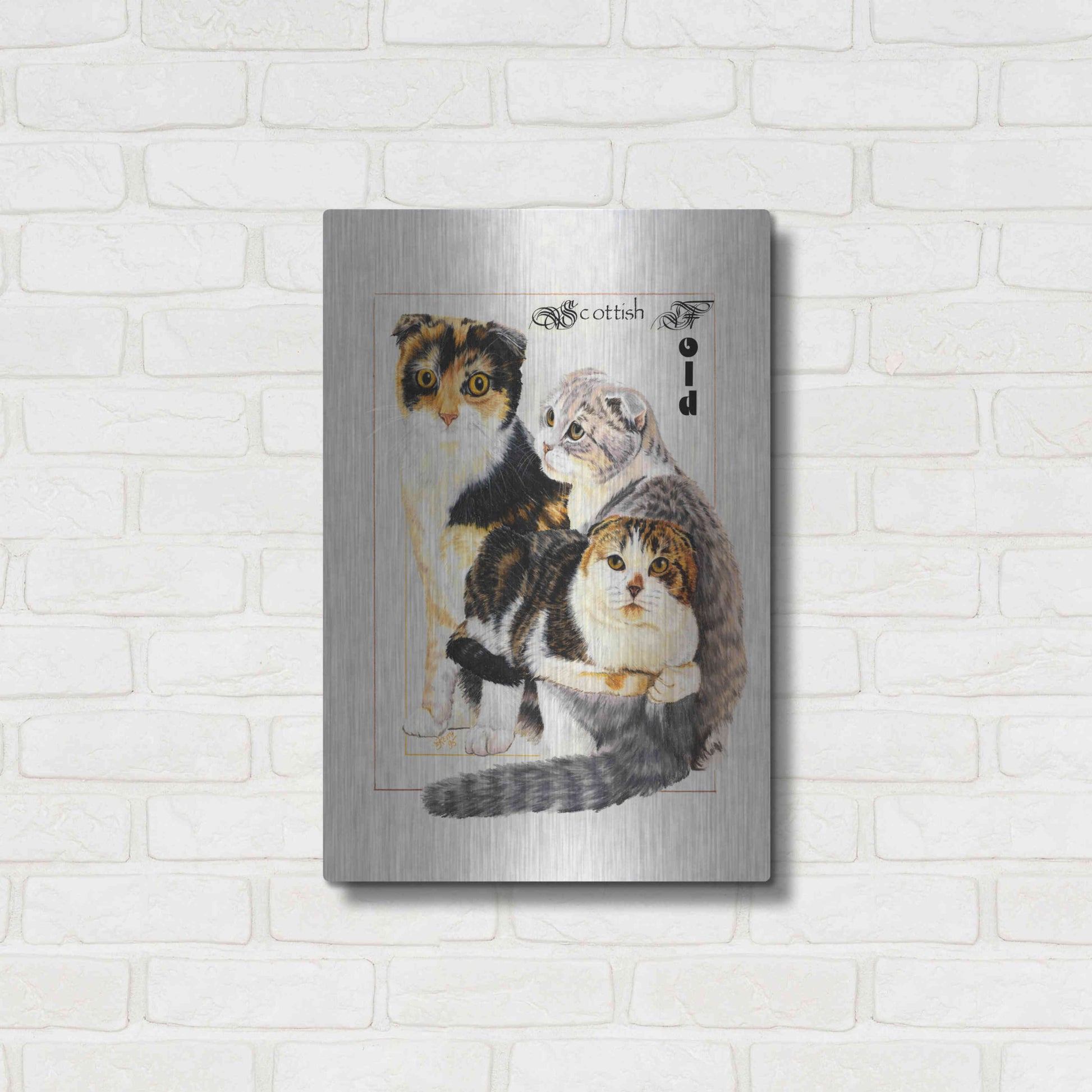 Luxe Metal Art 'Scottish Fold' by Barbara Keith, Metal Wall Art,16x24