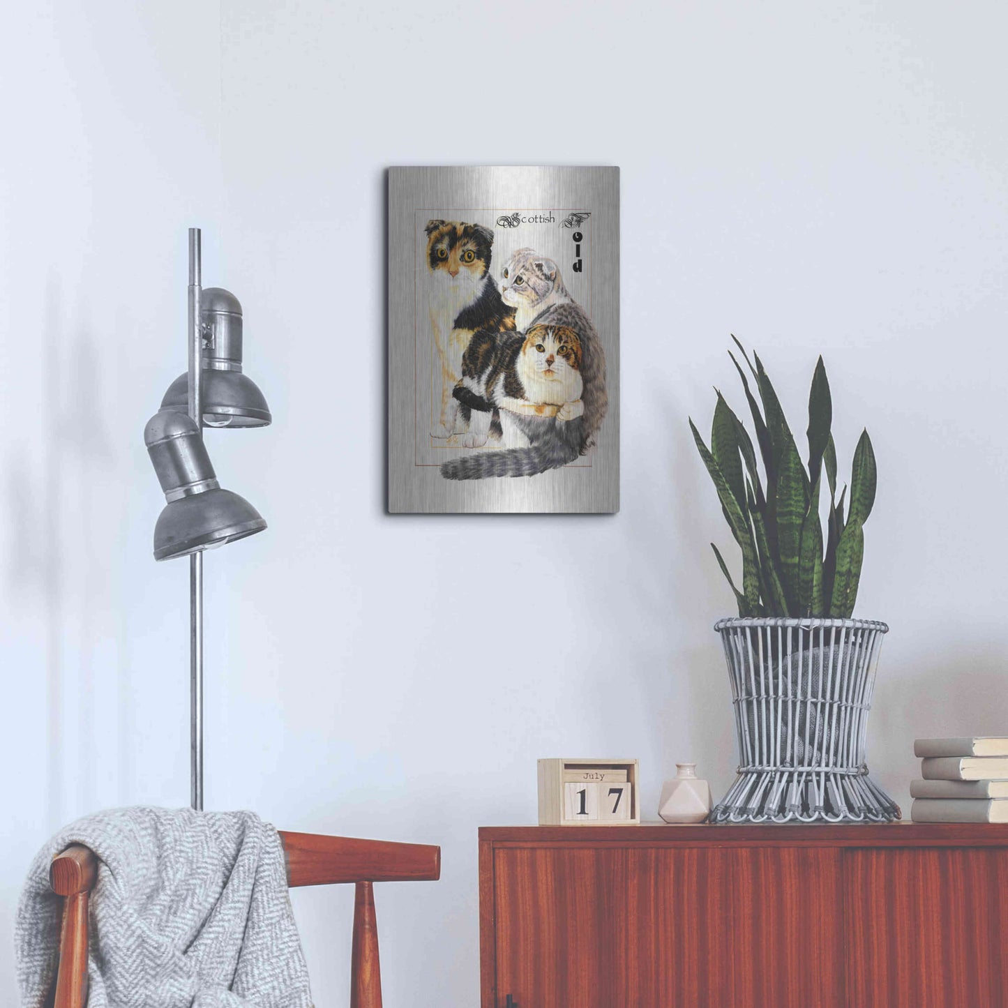 Luxe Metal Art 'Scottish Fold' by Barbara Keith, Metal Wall Art,16x24