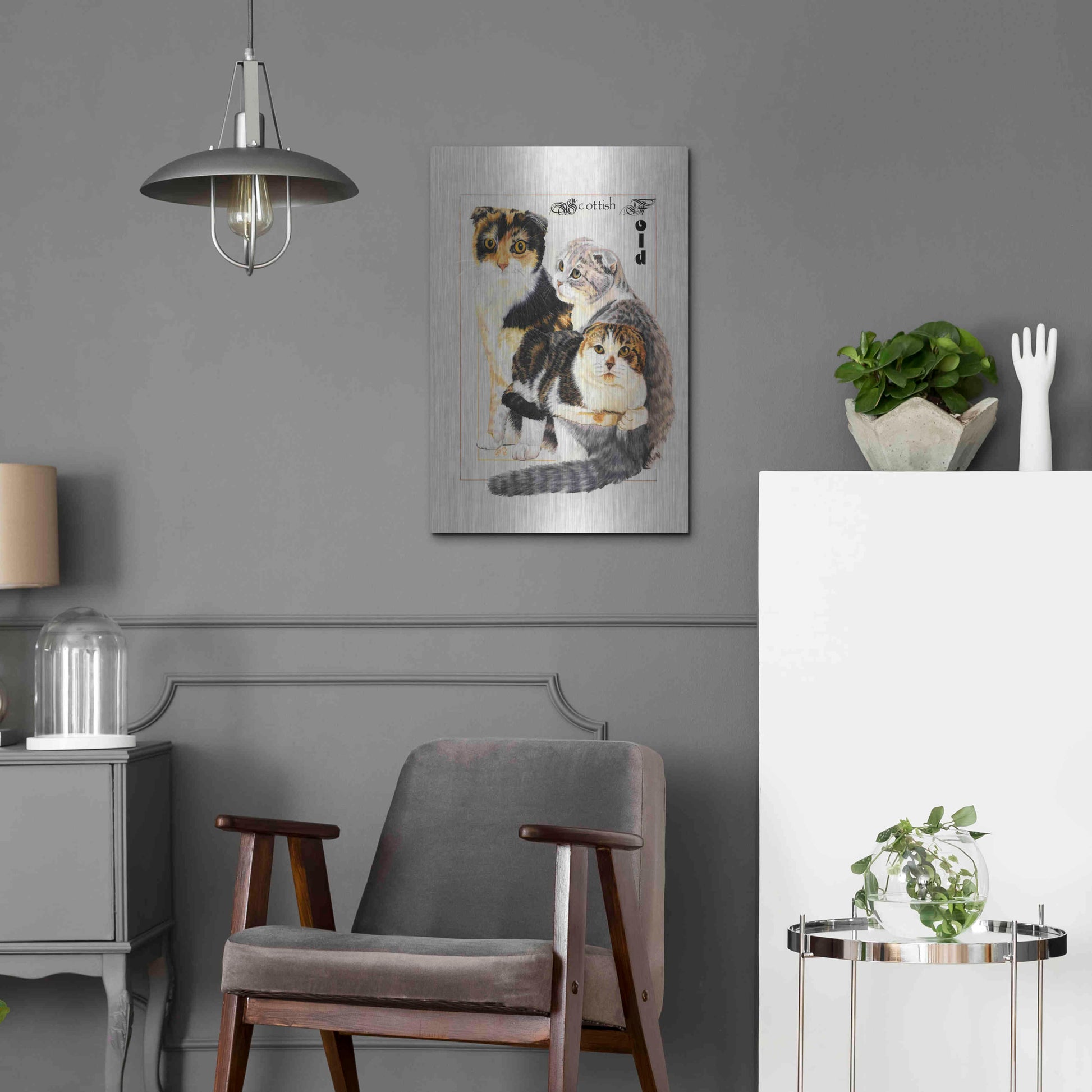 Luxe Metal Art 'Scottish Fold' by Barbara Keith, Metal Wall Art,16x24