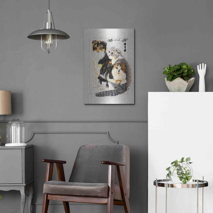 Luxe Metal Art 'Scottish Fold' by Barbara Keith, Metal Wall Art,16x24