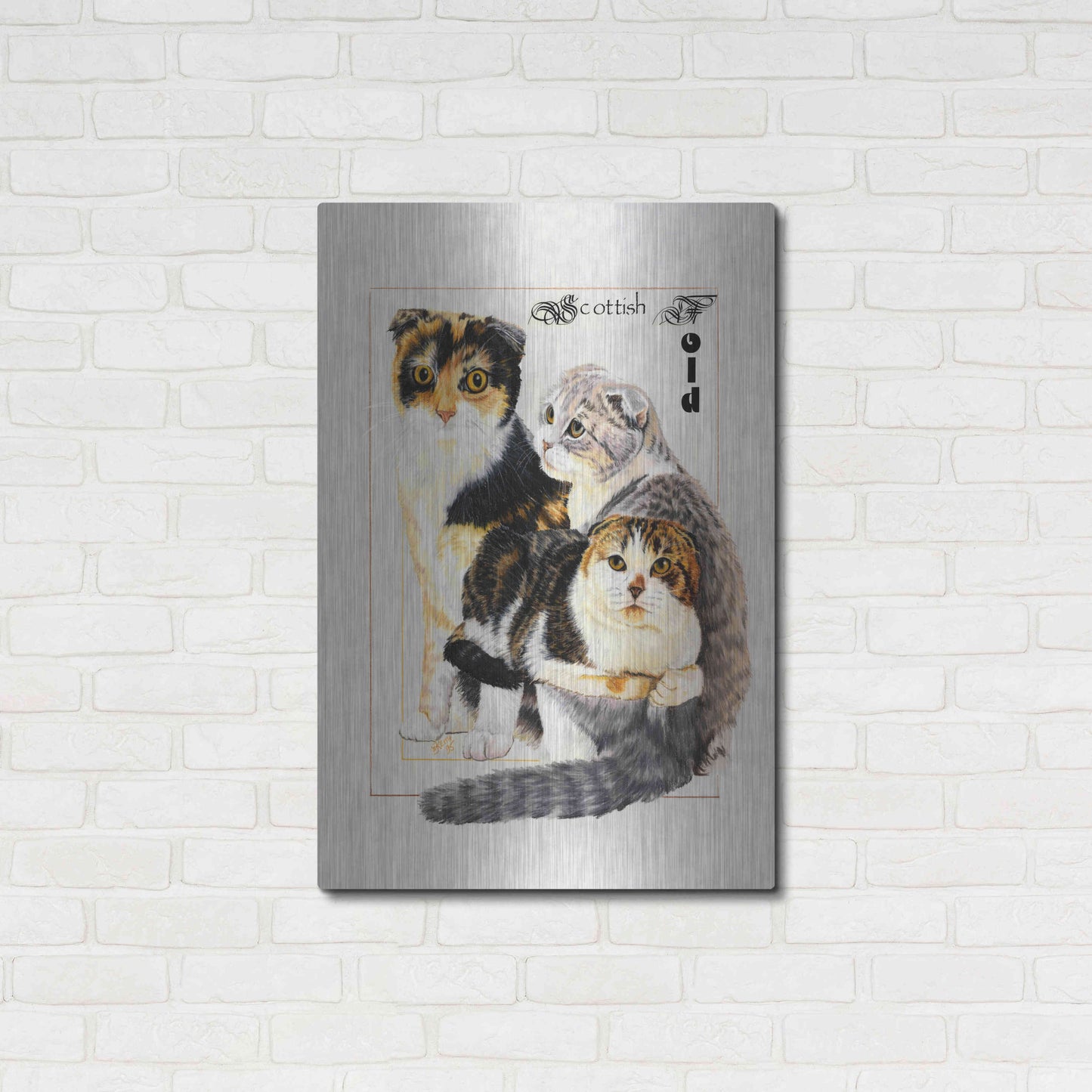 Luxe Metal Art 'Scottish Fold' by Barbara Keith, Metal Wall Art,24x36