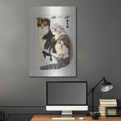 Luxe Metal Art 'Scottish Fold' by Barbara Keith, Metal Wall Art,24x36