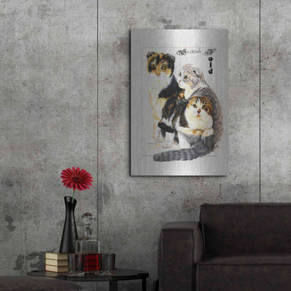 Luxe Metal Art 'Scottish Fold' by Barbara Keith, Metal Wall Art,24x36