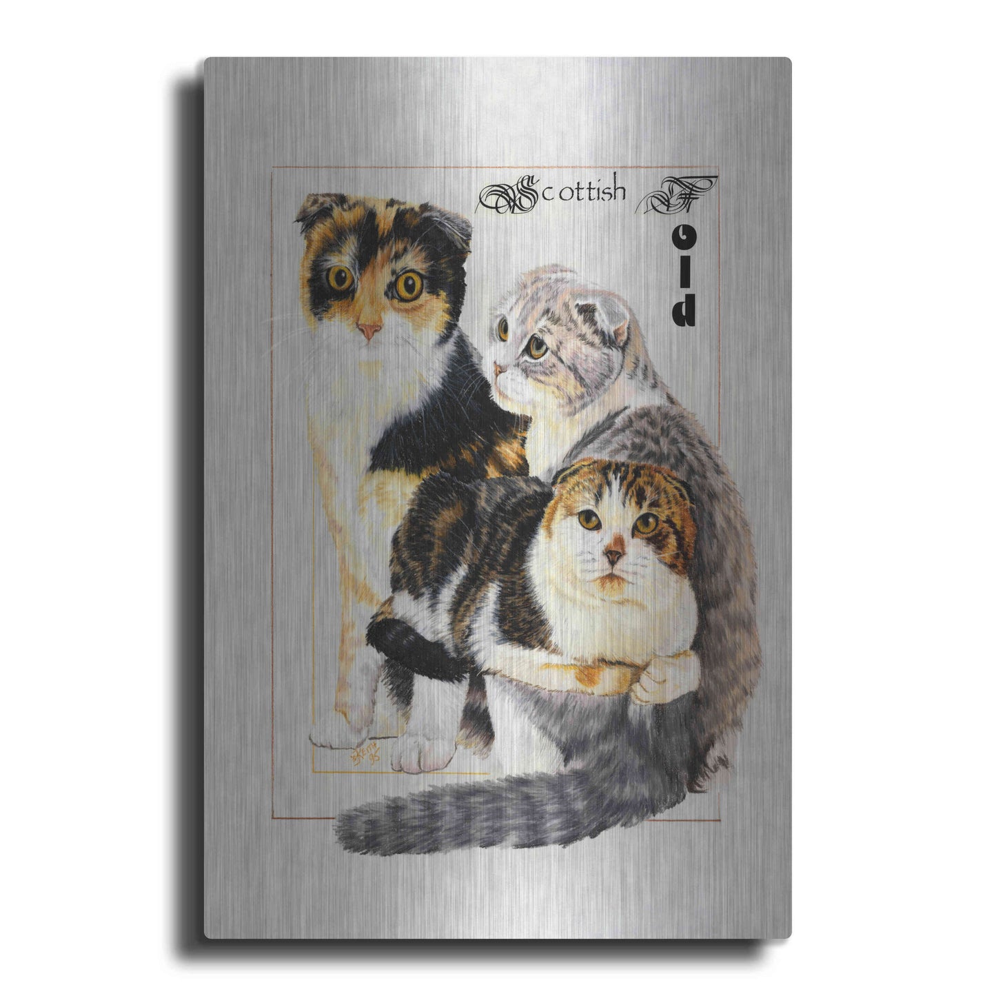 Luxe Metal Art 'Scottish Fold' by Barbara Keith, Metal Wall Art