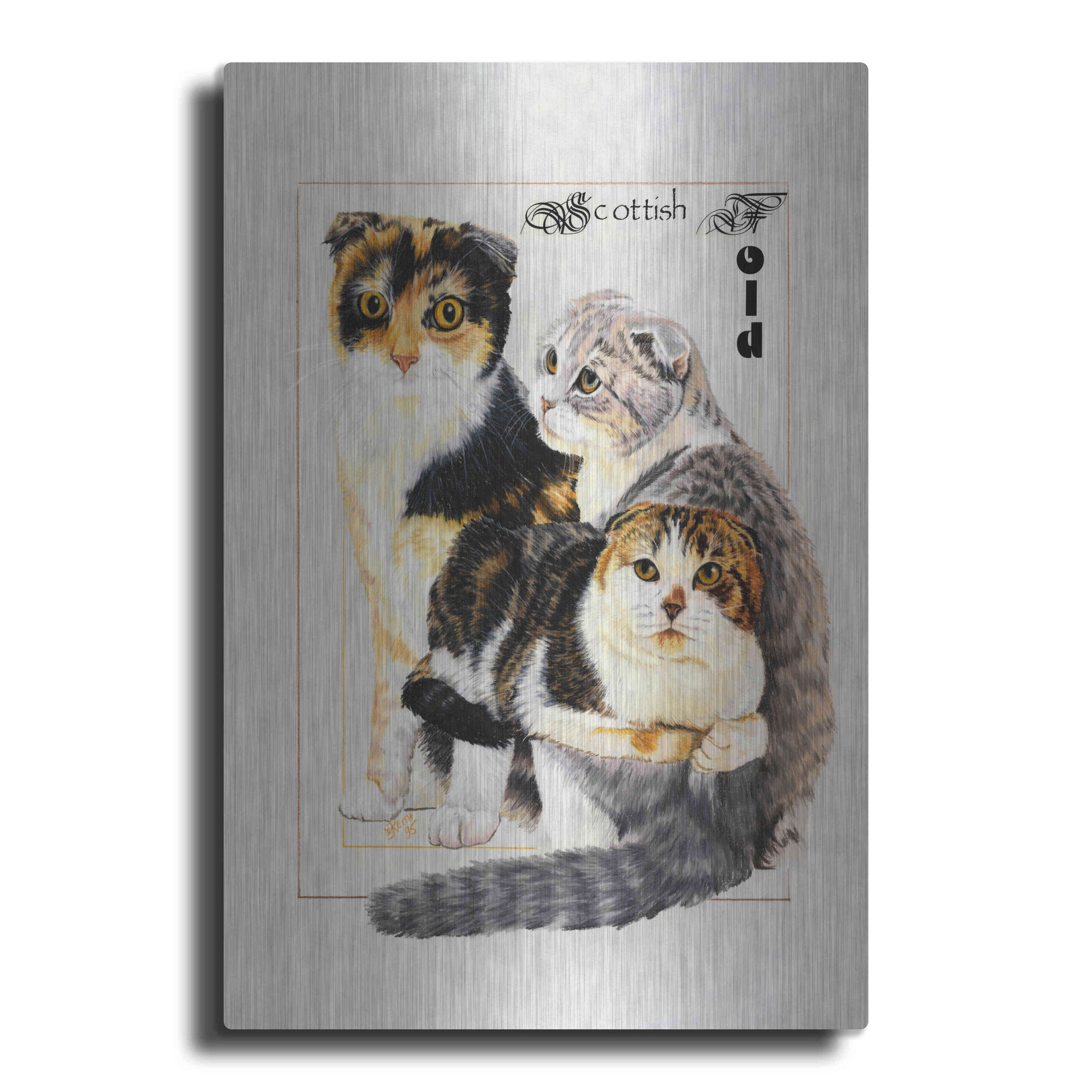 Luxe Metal Art 'Scottish Fold' by Barbara Keith, Metal Wall Art