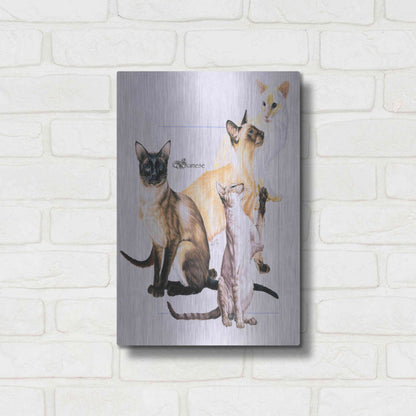 Luxe Metal Art 'Siamese' by Barbara Keith, Metal Wall Art,12x16