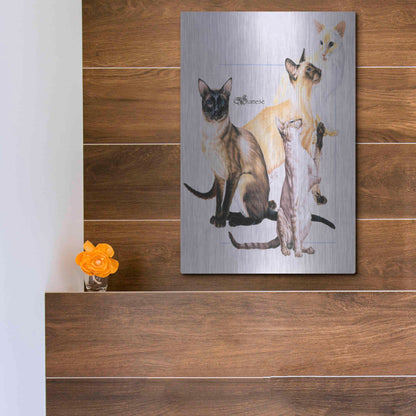 Luxe Metal Art 'Siamese' by Barbara Keith, Metal Wall Art,12x16