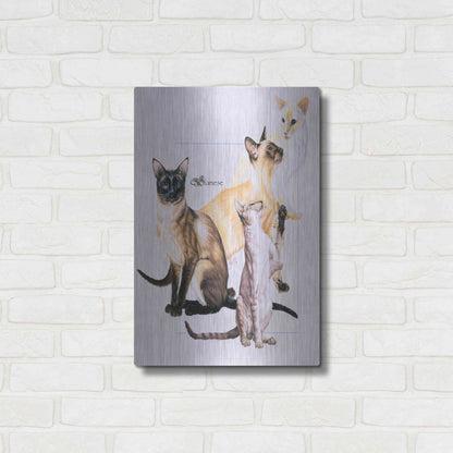 Luxe Metal Art 'Siamese' by Barbara Keith, Metal Wall Art,16x24