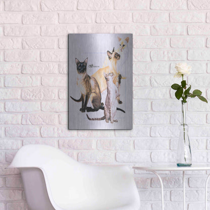 Luxe Metal Art 'Siamese' by Barbara Keith, Metal Wall Art,16x24