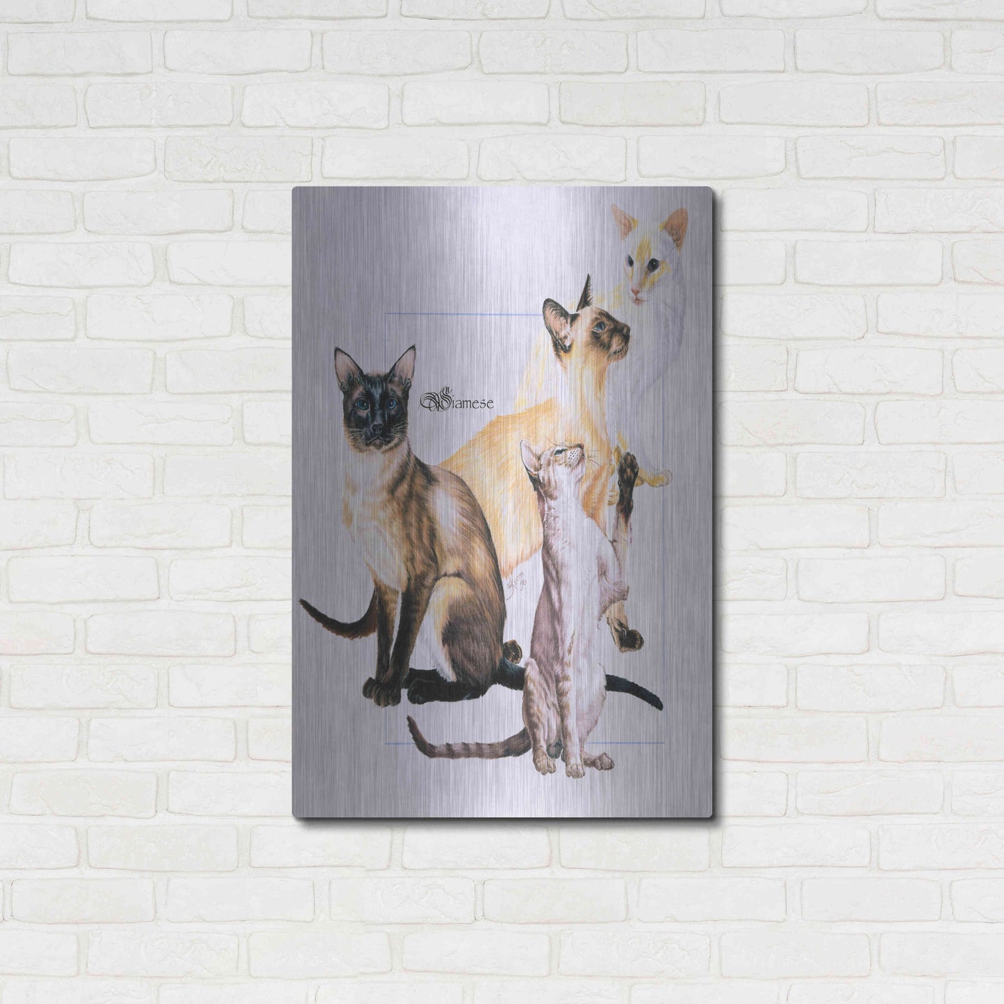 Luxe Metal Art 'Siamese' by Barbara Keith, Metal Wall Art,24x36