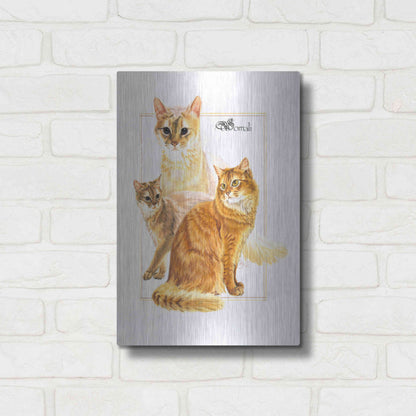 Luxe Metal Art 'Somali' by Barbara Keith, Metal Wall Art,12x16