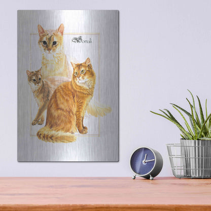 Luxe Metal Art 'Somali' by Barbara Keith, Metal Wall Art,12x16