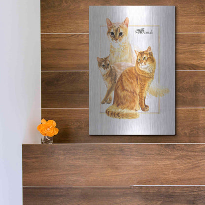 Luxe Metal Art 'Somali' by Barbara Keith, Metal Wall Art,12x16