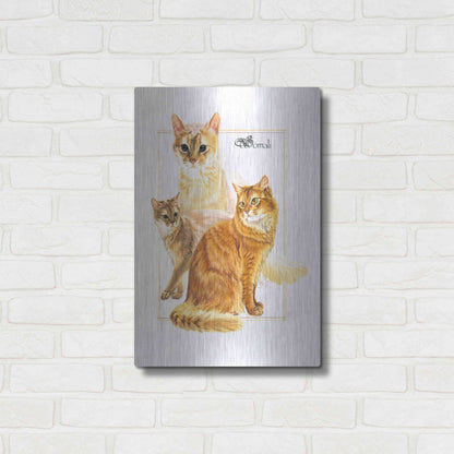 Luxe Metal Art 'Somali' by Barbara Keith, Metal Wall Art,16x24