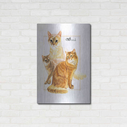 Luxe Metal Art 'Somali' by Barbara Keith, Metal Wall Art,24x36