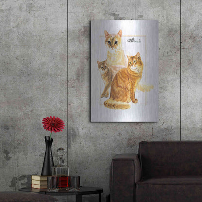 Luxe Metal Art 'Somali' by Barbara Keith, Metal Wall Art,24x36