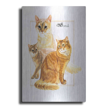 Luxe Metal Art 'Somali' by Barbara Keith, Metal Wall Art