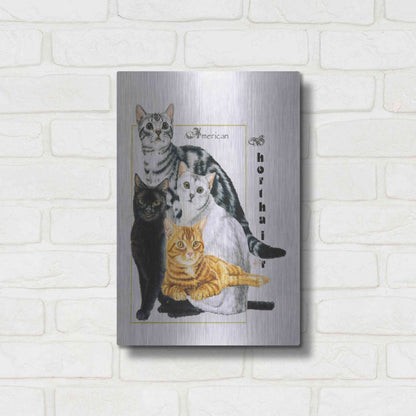 Luxe Metal Art 'American Shorthair' by Barbara Keith, Metal Wall Art,12x16