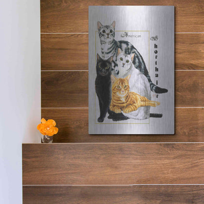Luxe Metal Art 'American Shorthair' by Barbara Keith, Metal Wall Art,12x16