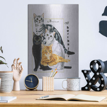 Luxe Metal Art 'American Shorthair' by Barbara Keith, Metal Wall Art,12x16