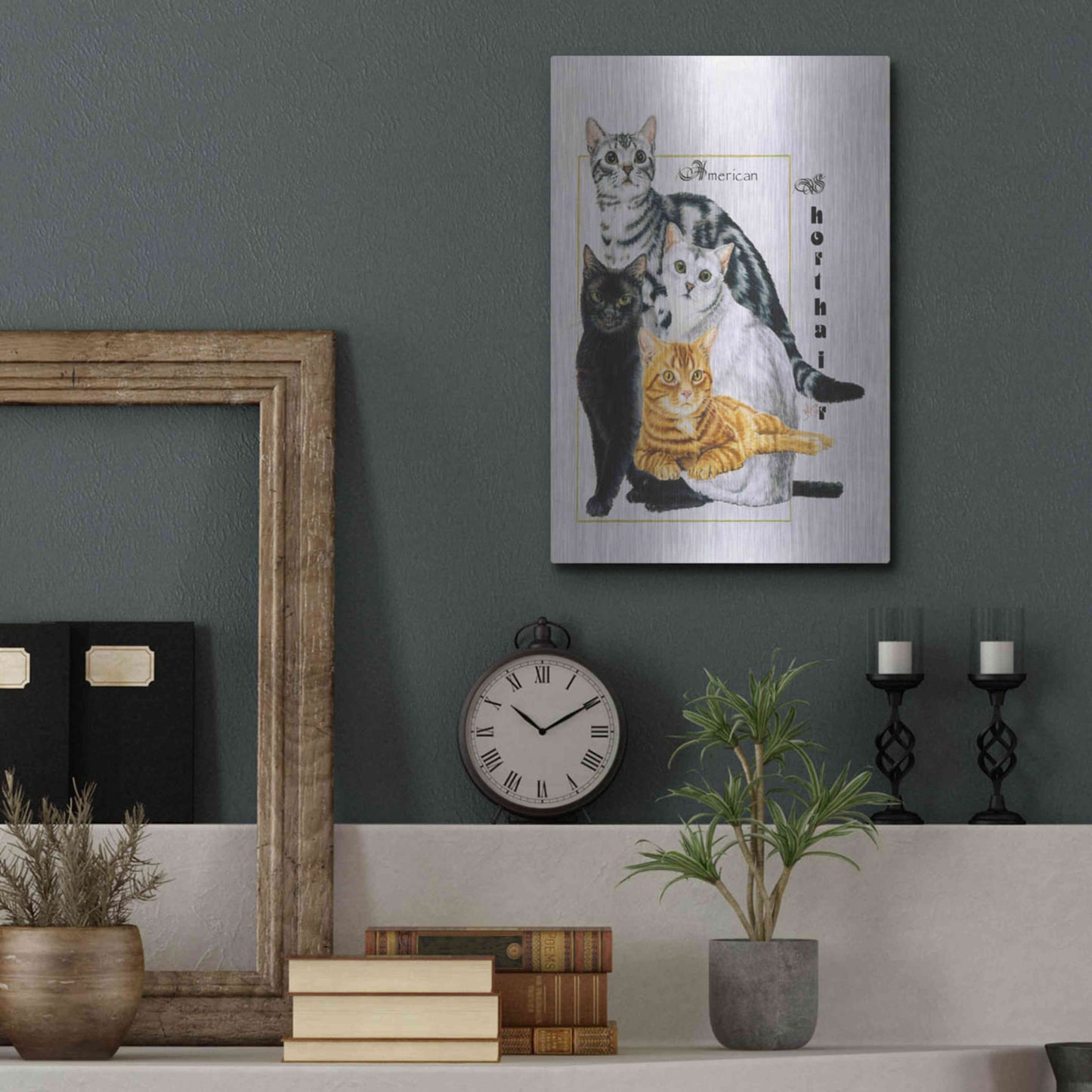 Luxe Metal Art 'American Shorthair' by Barbara Keith, Metal Wall Art,12x16