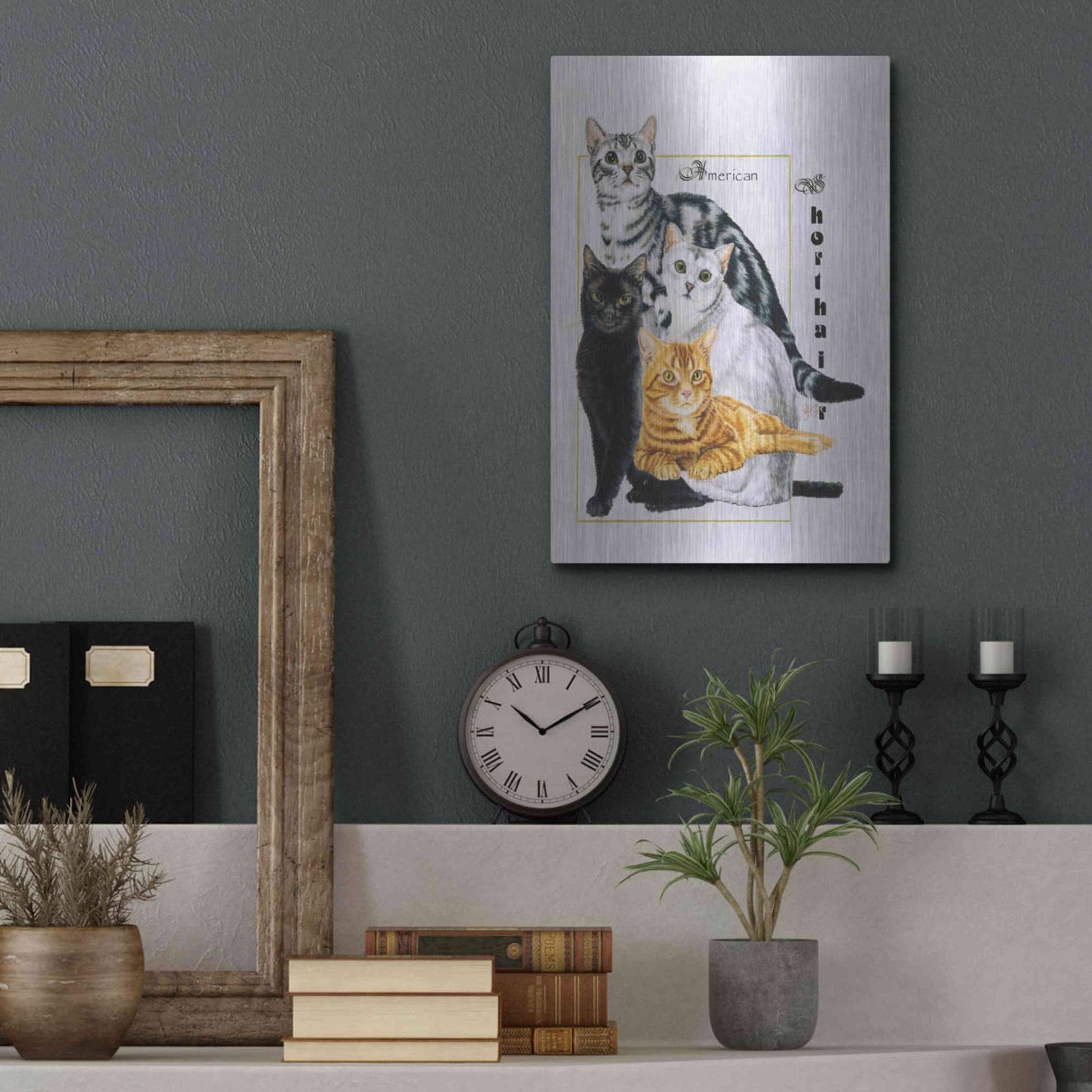 Luxe Metal Art 'American Shorthair' by Barbara Keith, Metal Wall Art,12x16