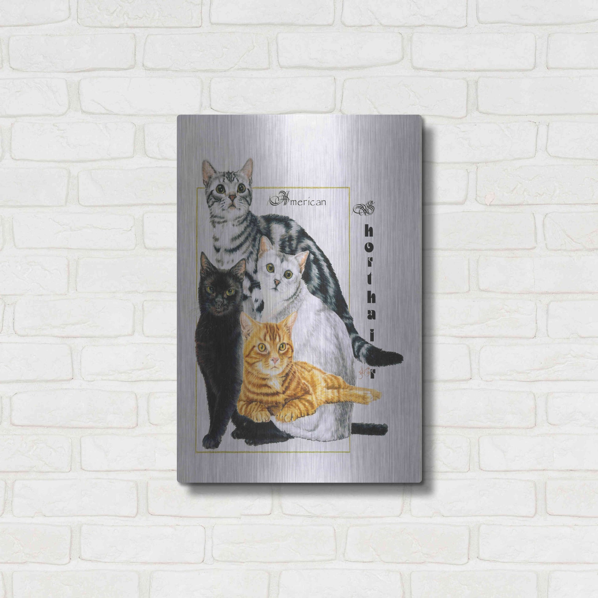 Luxe Metal Art 'American Shorthair' by Barbara Keith, Metal Wall Art,16x24