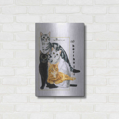 Luxe Metal Art 'American Shorthair' by Barbara Keith, Metal Wall Art,16x24