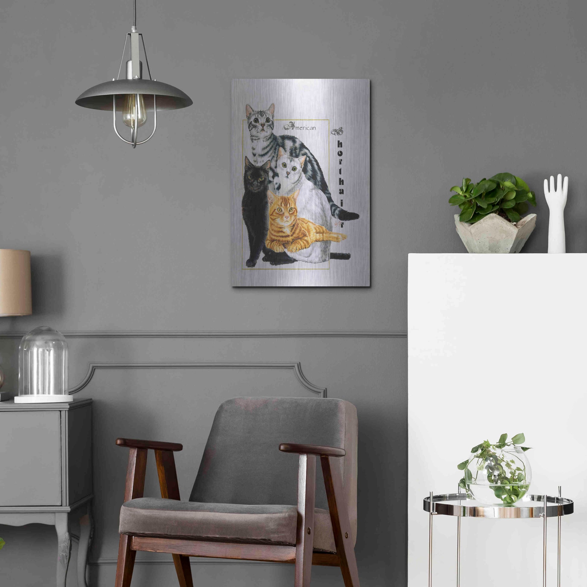 Luxe Metal Art 'American Shorthair' by Barbara Keith, Metal Wall Art,16x24