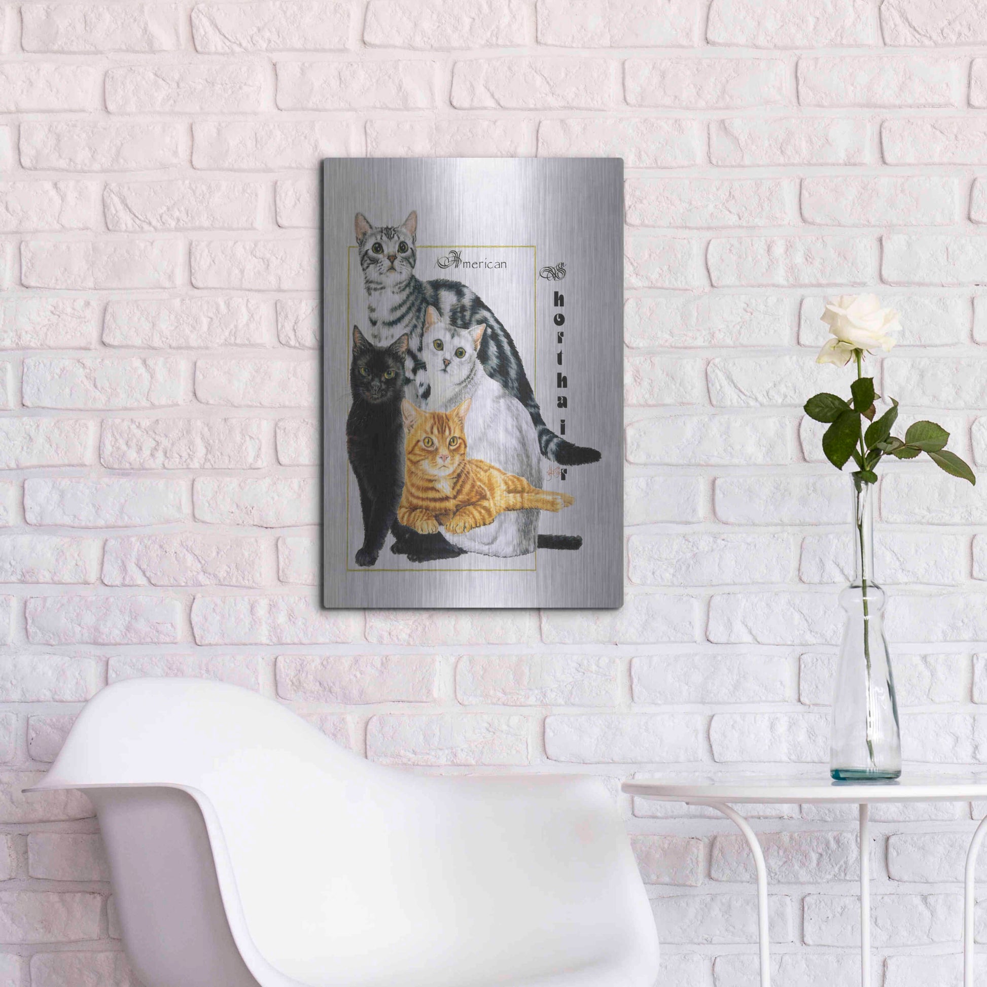 Luxe Metal Art 'American Shorthair' by Barbara Keith, Metal Wall Art,16x24