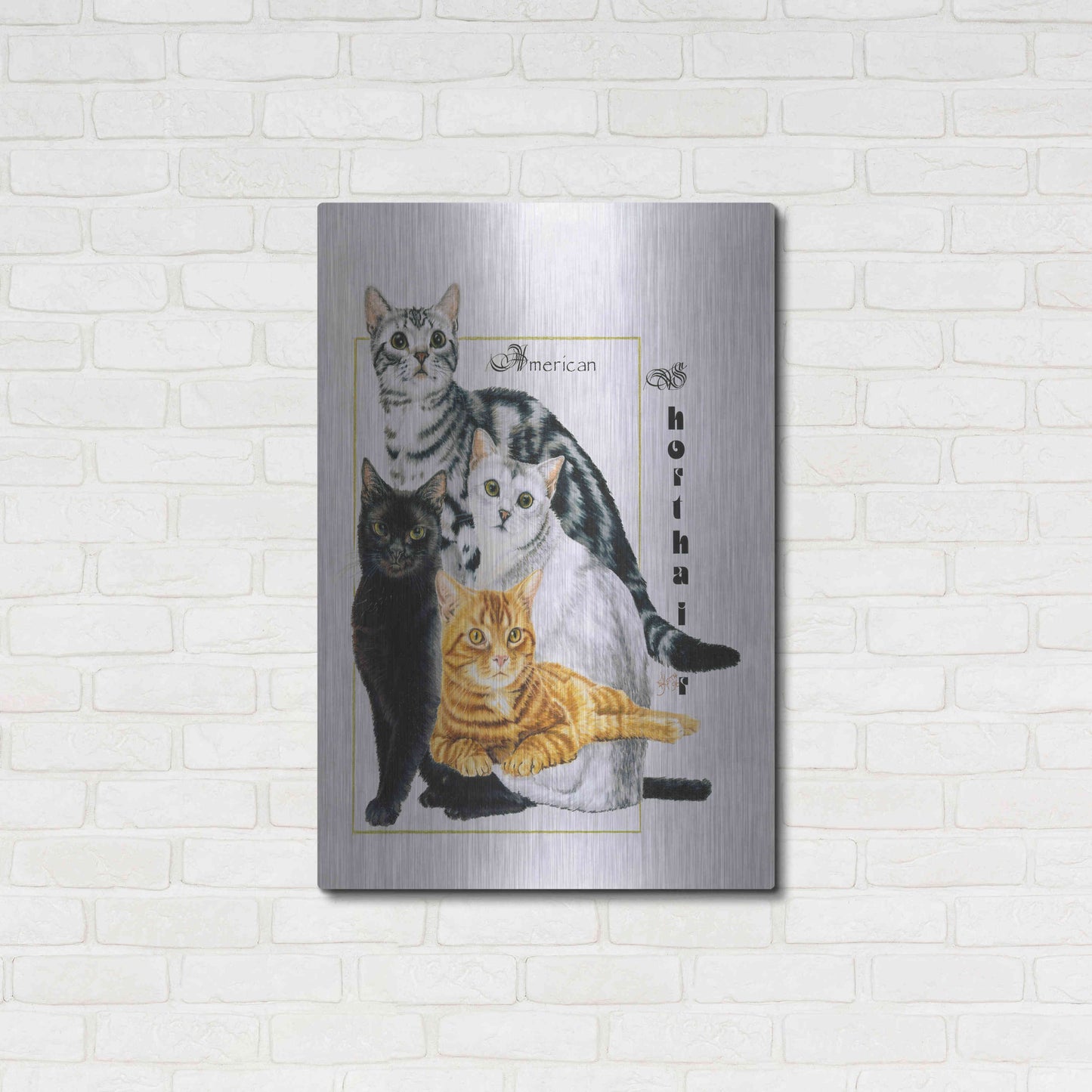Luxe Metal Art 'American Shorthair' by Barbara Keith, Metal Wall Art,24x36