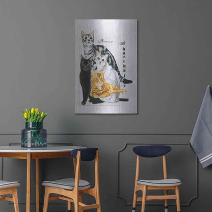 Luxe Metal Art 'American Shorthair' by Barbara Keith, Metal Wall Art,24x36