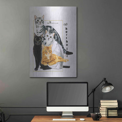 Luxe Metal Art 'American Shorthair' by Barbara Keith, Metal Wall Art,24x36