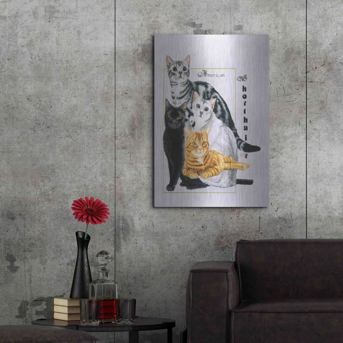 Luxe Metal Art 'American Shorthair' by Barbara Keith, Metal Wall Art,24x36