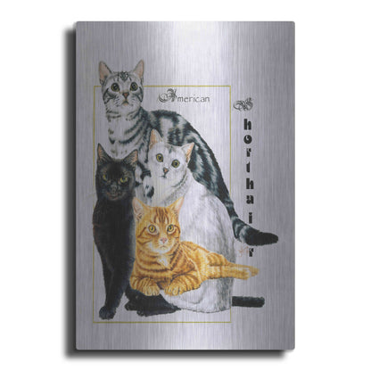 Luxe Metal Art 'American Shorthair' by Barbara Keith, Metal Wall Art