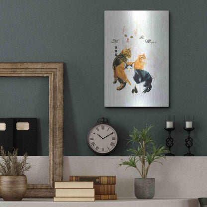 Luxe Metal Art 'Cymric And Manx' by Barbara Keith, Metal Wall Art,12x16