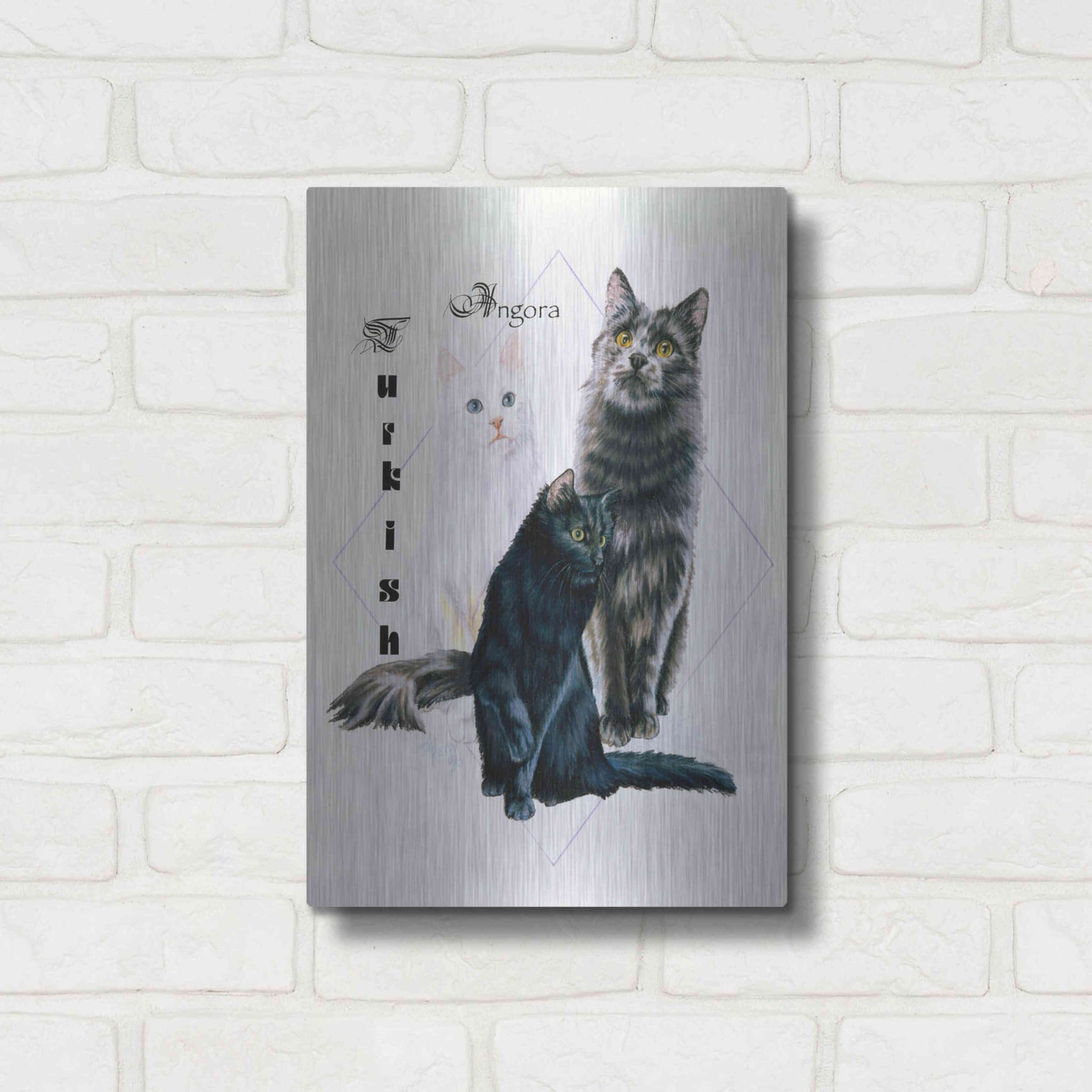 Luxe Metal Art 'Turkish Angora' by Barbara Keith, Metal Wall Art,12x16